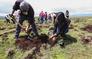 Arranca en Jilotepec mega reforestación del Edomex con cinco mil árboles