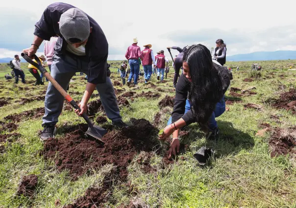 Arranca en Jilotepec mega reforestación del Edomex con cinco mil árboles