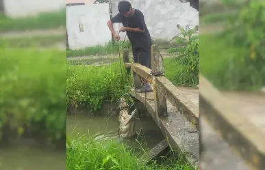 Niño captura cocodrilo de dos metros en Ciudad Madero: Autoridades remarcan ilegalidad del acto