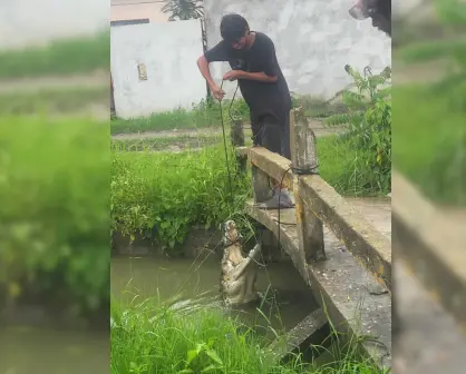 Niño captura cocodrilo de dos metros en Ciudad Madero: Autoridades remarcan ilegalidad del acto