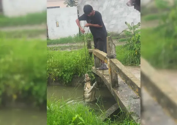 Niño captura cocodrilo de dos metros en Ciudad Madero: Autoridades remarcan ilegalidad del acto