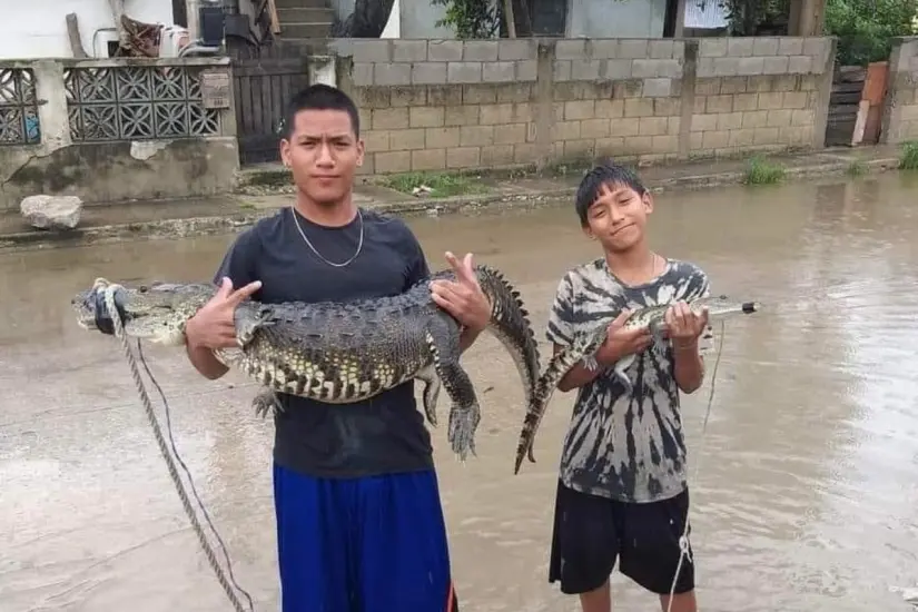 Otro de muchos casos, donde niños son quienes atrapan a estos reptiles | Foto: FB