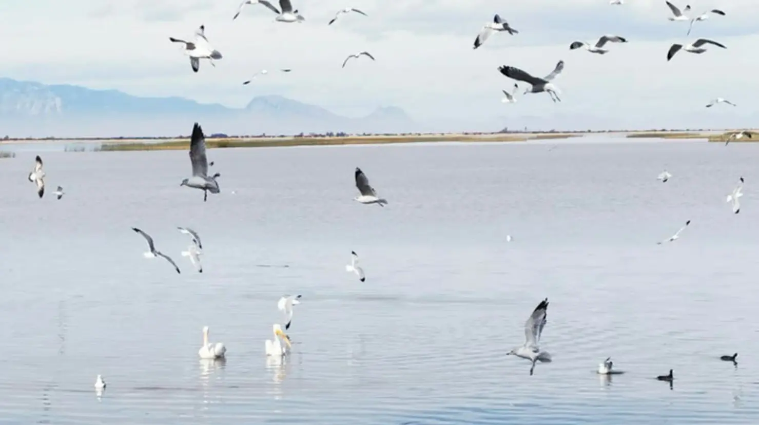 Laguna de Santiaguillo | Foto: Turismo Durango, en Facebook