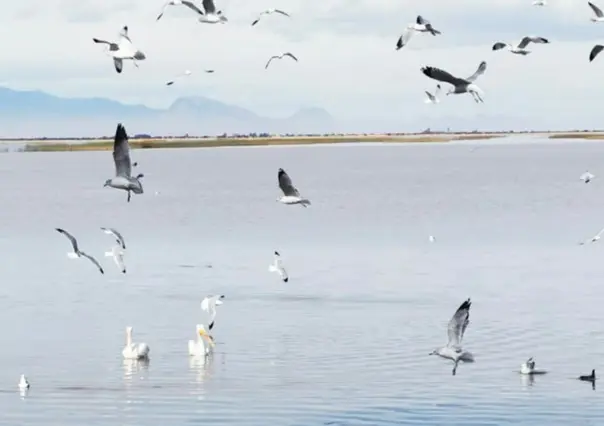 El río de Durango que le da vida a uno de los humedales más importantes de Norteamérica
