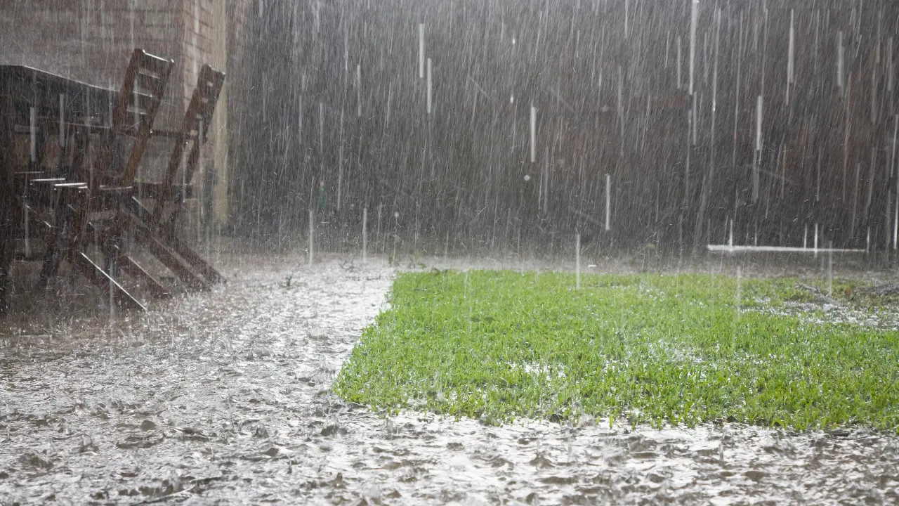 La lluvia intensa cubre un patio con pasto, una escena que refleja las condiciones climatológicas pronosticadas para este 2 de julio en el Estado de México. Foto: Canva