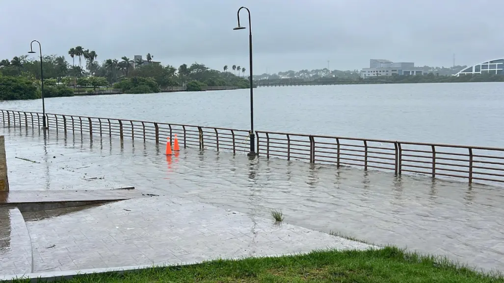 Lluvias provocan desbordamiento de lagunas y presencia de cocodrilos en el sur de Tamaulipas