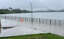 Lluvias provocan desbordamiento de lagunas y presencia de cocodrilos en el sur de Tamaulipas