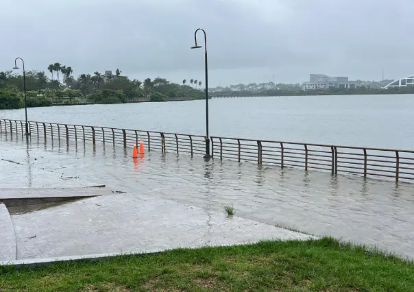 Lluvias provocan desbordamiento de lagunas y presencia de cocodrilos en el sur de Tamaulipas