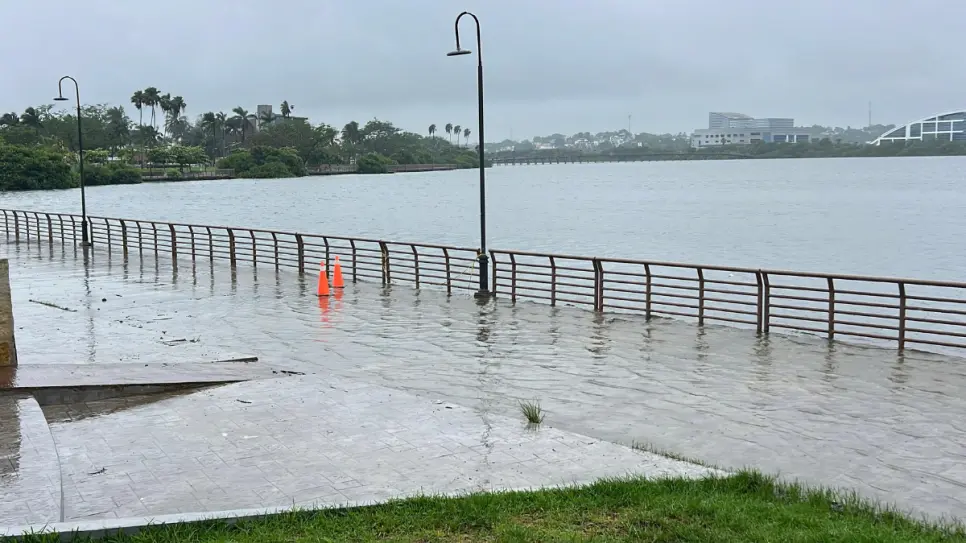 Lluvias provocan desbordamiento de lagunas y presencia de cocodrilos en el sur de Tamaulipas