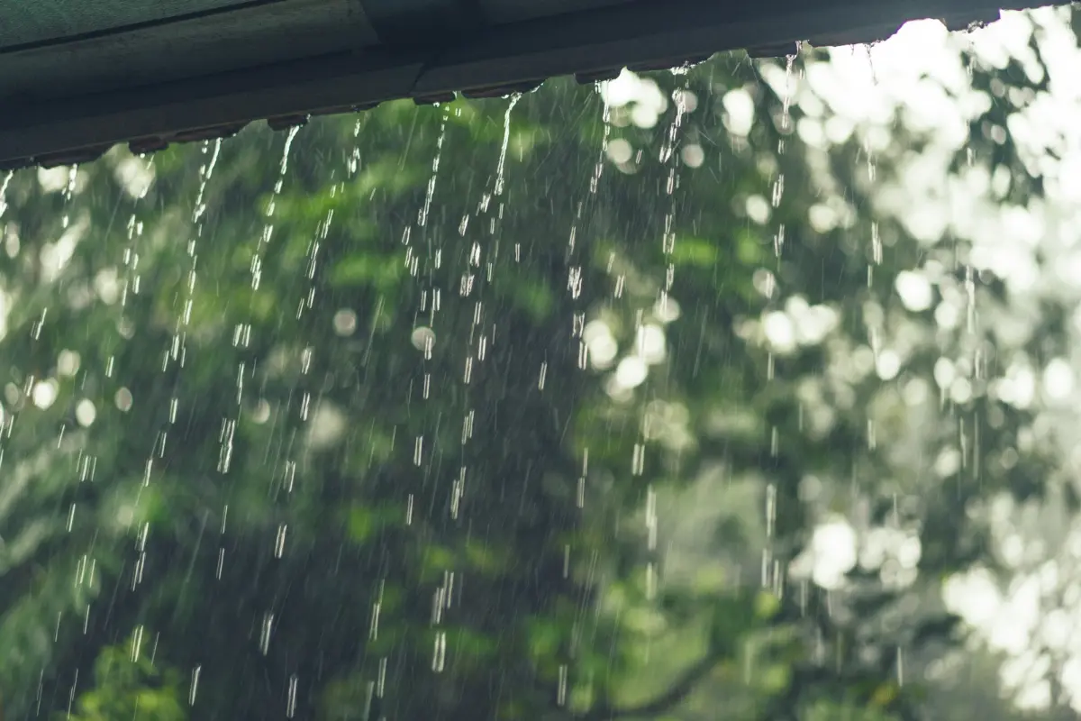 Lluvias muy fuertes para Tamaulipas con puntuales intensas, de acuerdo al Servicio Meteorológico Nacional. Foto: Freepik