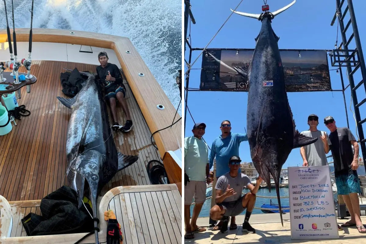 Foto: Pisces Sportfishing Fleet / Facebook