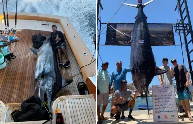 Captura récord en Los Cabos: pescador logra un marlín azul de 345 kg a bordo de El Suertudo