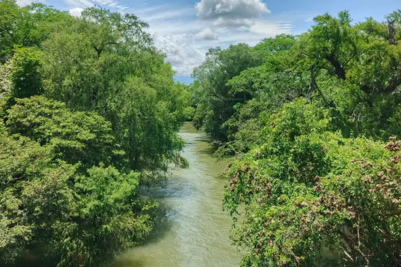 La vegetación en este lugar es un paraíso | Foto: FB Rancho San Manuel Xicoténcatl 