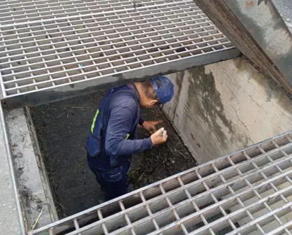 San Nicolás implementa operativo de limpieza y desazolve en alcantarillas tras lluvias en Nuevo León