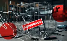 Sedena decomisa 39 drones en actos delictivos en flagrancia