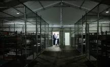 Así es Alligator Alcatraz la nueva cárcel para migrantes en EU rodeada de caimanes | VIDEO