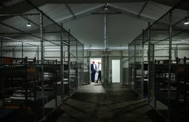 Así es Alligator Alcatraz la nueva cárcel para migrantes en EU rodeada de caimanes | VIDEO