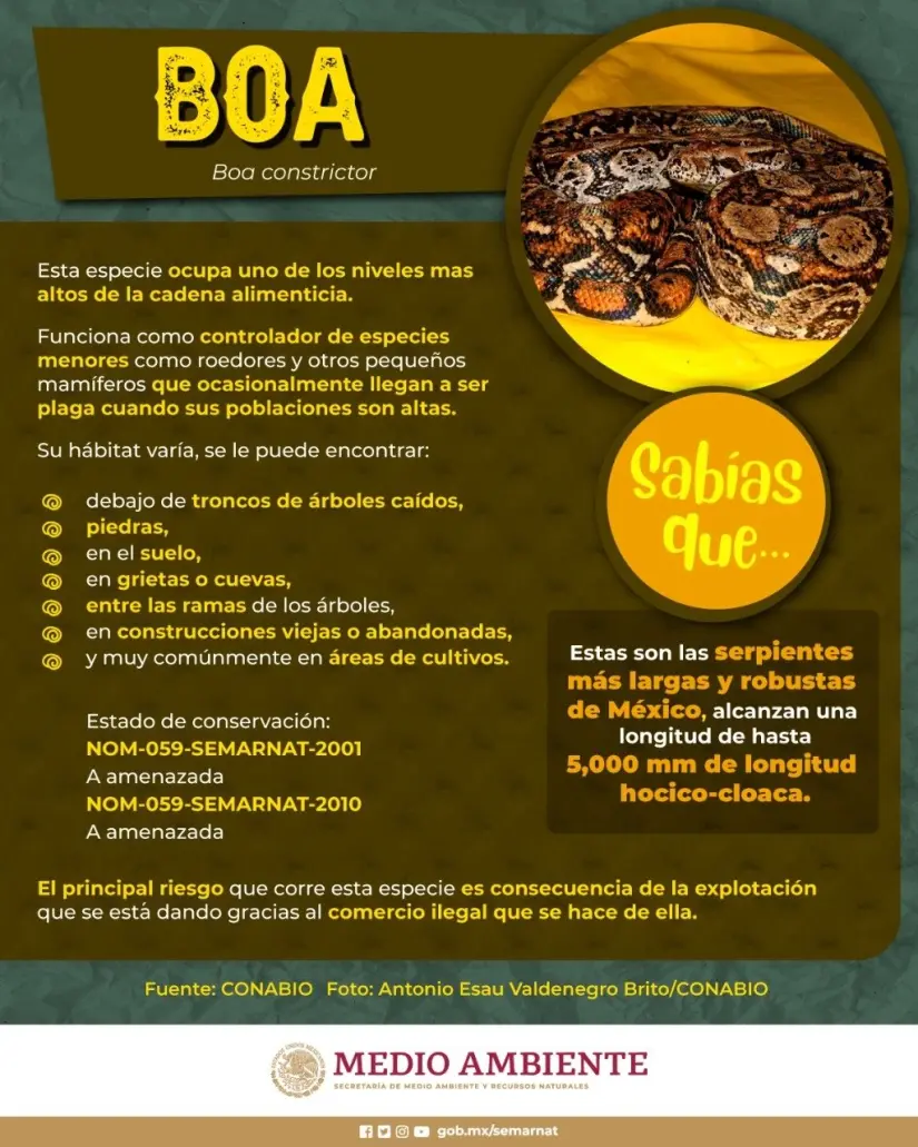 imagen recuadro
