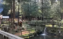 El olvidado parque con cabañas perfecto para vacacionar sin salir de la CDMX