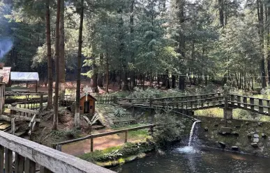 El olvidado parque con cabañas perfecto para vacacionar sin salir de la CDMX