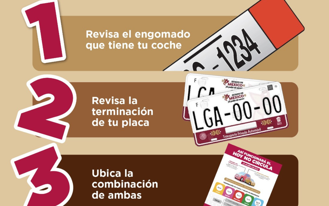 imagen-cuerpo