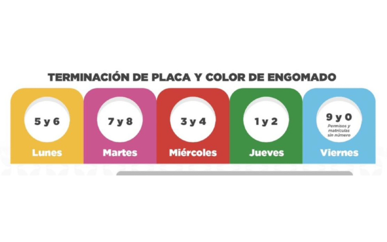 imagen-cuerpo