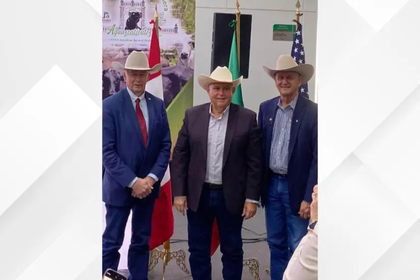 imagen recuadro