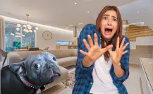 Este animal nativo de CDMX puede esconderse en casas y conocerlo te salva la vida