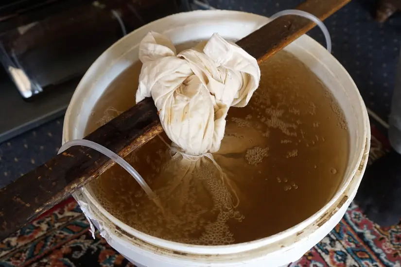 El té de abono es una solución natural y efectiva para quienes desean cultivar plantas de manera sostenible y económica. Foto; Canva