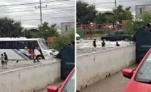 ¿Por qué debes evitar bañarte en encharcamientos, según expertos?