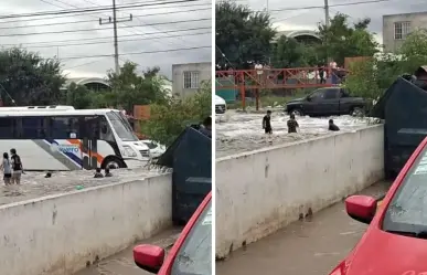 ¿Por qué debes evitar bañarte en encharcamientos, según expertos?
