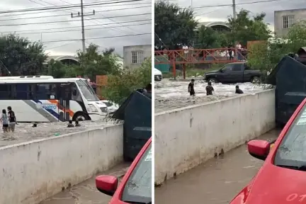 ¿Por qué debes evitar bañarte en encharcamientos, según expertos? ¿Por qué debes evitar bañarte en encharcamientos, según expertos?