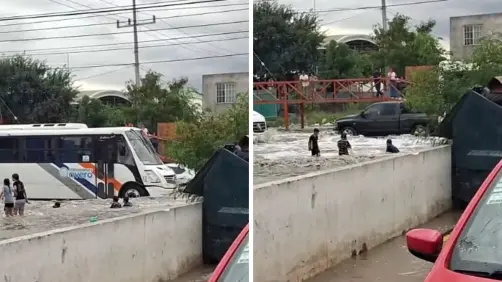 ¿Por qué debes evitar bañarte en encharcamientos, según expertos?