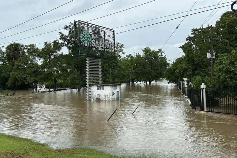 Se evaluarán los daños en diferentes municipios | Foto: FB Testigo del Mante