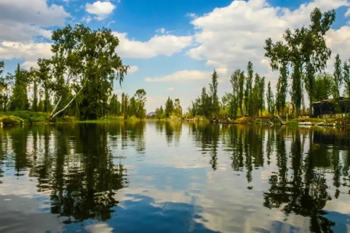 Lago de Xochimilco, donde habita el misterioso animal de CDMX Foto: trajinerasxochimilco.info | Canva