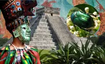 Sacuchero: el escarabajo que encuentras en Yucatán con una fascinante leyenda maya