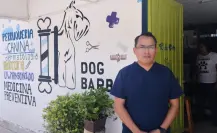 Nace oasis para la adopción de perros y gatos en Chiapas