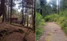 El viejo parque de CDMX que cuida animales salvajes y puedes visitar en vacaciones con cuidado