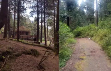 El viejo parque de CDMX que cuida animales salvajes y puedes visitar en vacaciones con cuidado
