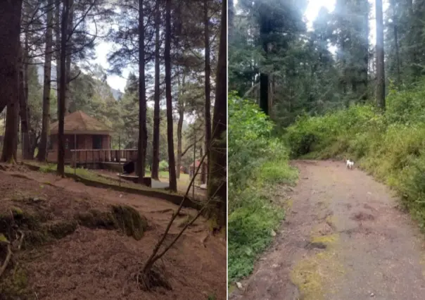 El viejo parque de CDMX que cuida animales salvajes y puedes visitar en vacaciones con cuidado