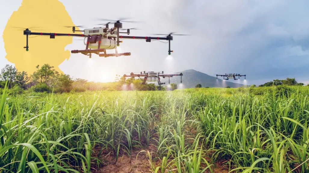 Este es el único municipio de Coahuila que cuida el campo con drones