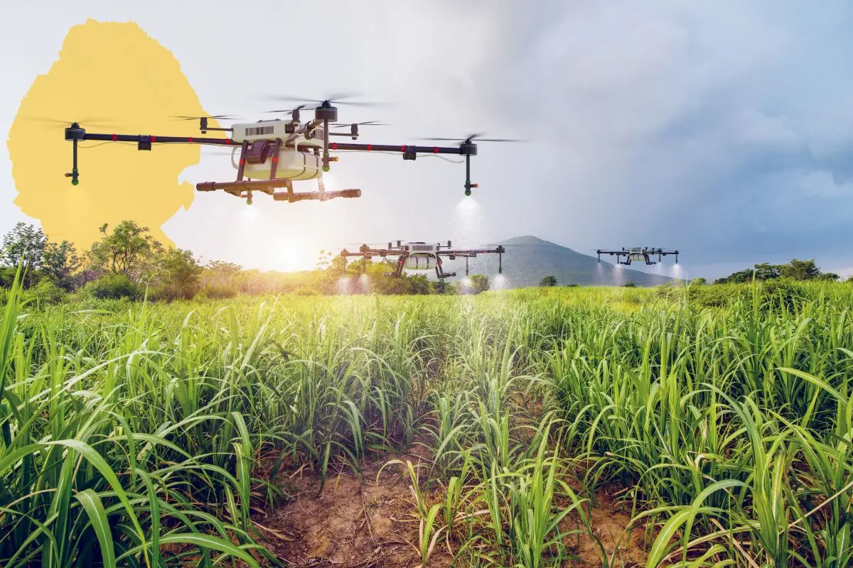 Este municipio en Coahuila usa drones en la agricultura / Foto: Composición de Canva