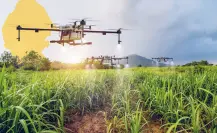 Este es el único municipio de Coahuila que cuida el campo con drones 