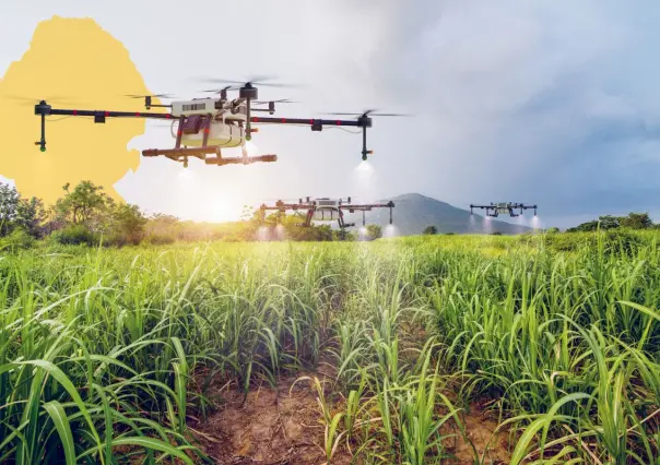 Este es el único municipio de Coahuila que cuida el campo con drones 