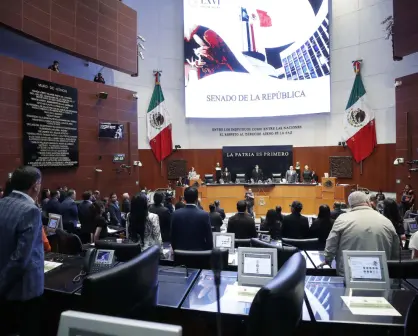 Senado avala leyes de Seguridad y de Investigación e Inteligencia