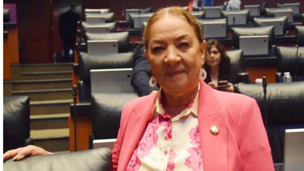 Senadora de Morena propone crear una guardia civil con mamados del gimnasio