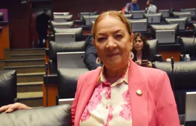 Senadora de Morena propone crear una guardia civil con mamados del gimnasio