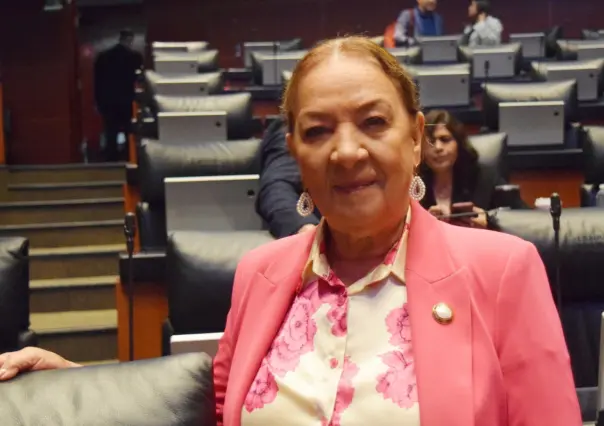 Senadora de Morena propone crear una guardia civil con mamados del gimnasio