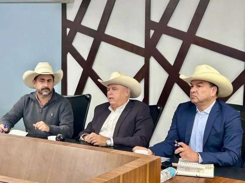 imagen recuadro