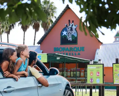 3 zoológicos para visitar en Nuevo León en estas vacaciones de verano